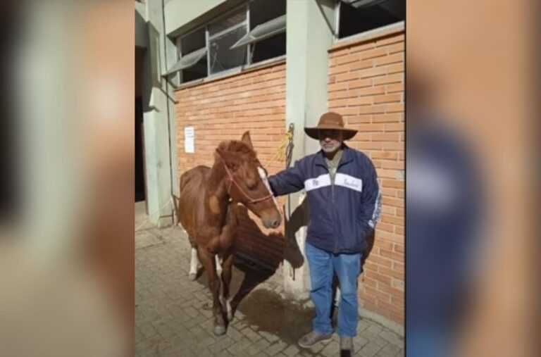 “fiquei-sabendo-pela-tv”,-diz-suposto-dono-do-cavalo-caramelo-no-rs